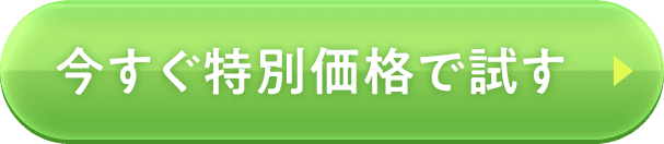 特別価格で注文する