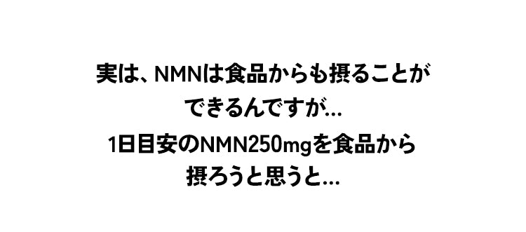 1日目安のNMN250mgを